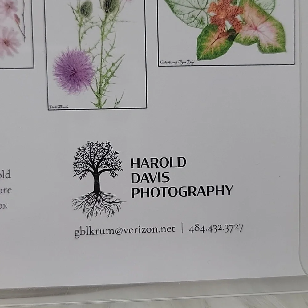 HAROLD DAVIS PHOTOGRAPHY‎ Blank Floral Green Garden Greeting Note Card Set of 10